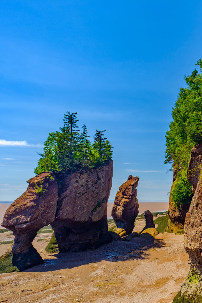 Bay of fundy