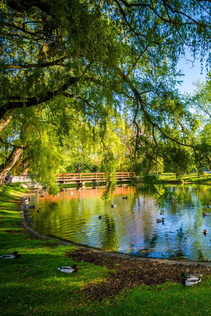 Toronto Island